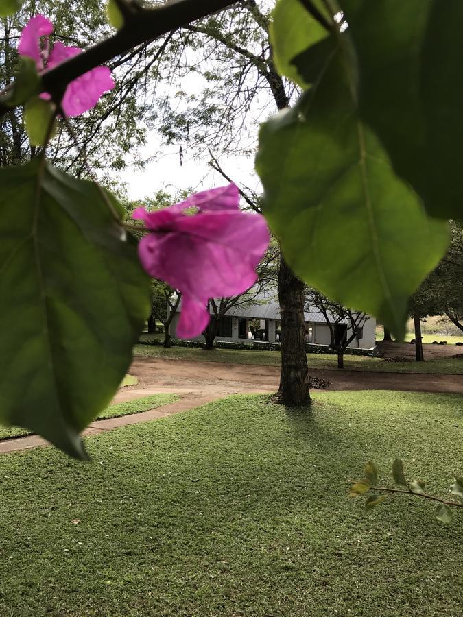 Tjimaka Villa Hazyview Bagian luar foto